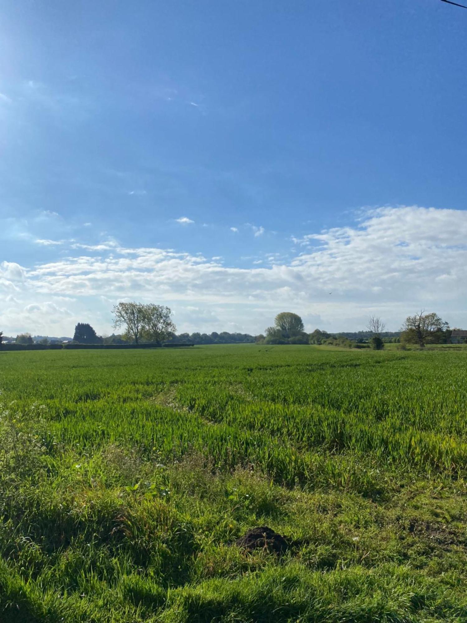 Blossom Lodge - Detached Bungalow Near Kings Lynn Narborough  외부 사진