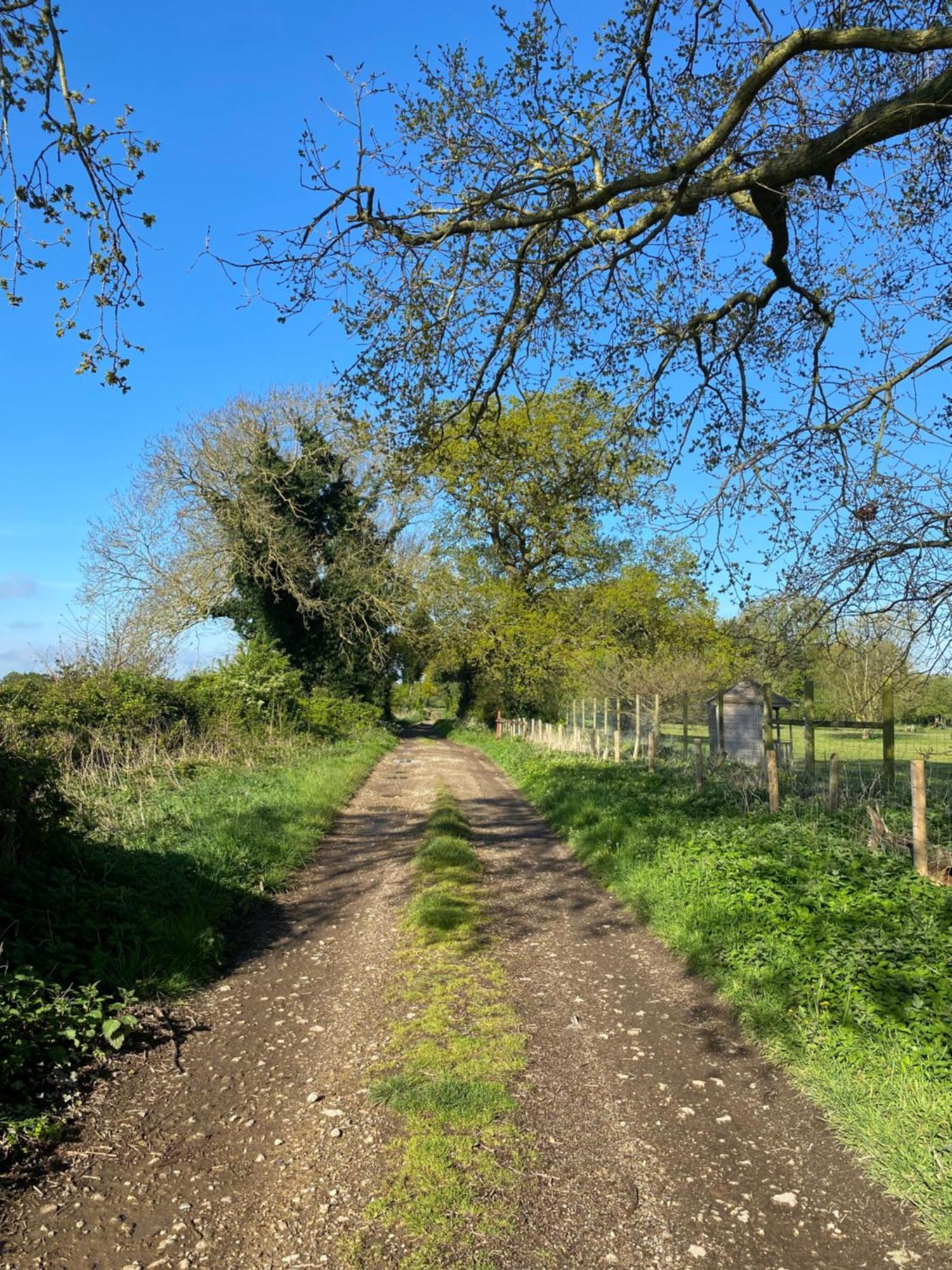 Blossom Lodge - Detached Bungalow Near Kings Lynn Narborough  외부 사진